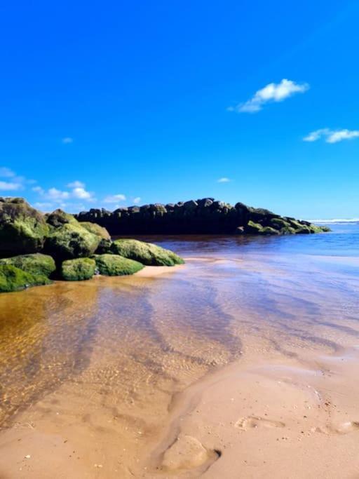 Superbe Studio A 8Mn En Voiture De La Plage Linxe Exteriör bild